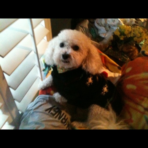 Meet your Posher, Melanie - Picture 2 of 4